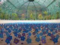 Champ de myosotis solaires dansants, installation de 10 000 myosotis sur 1000 m aux Serres royales de Laeken (Bruxelles, 17 avril au 10 mai 2009) - Alexandre Dang