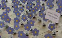 Champ de myosotis solaires dansants, installation de 10 000 myosotis sur 1000 m² aux Serres royales de Laeken (Bruxelles, 17 avril au 10 mai 2009) - Alexandre Dang